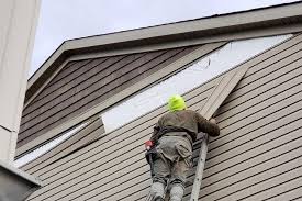 Best Historical Building Siding Restoration  in Memphis, TX